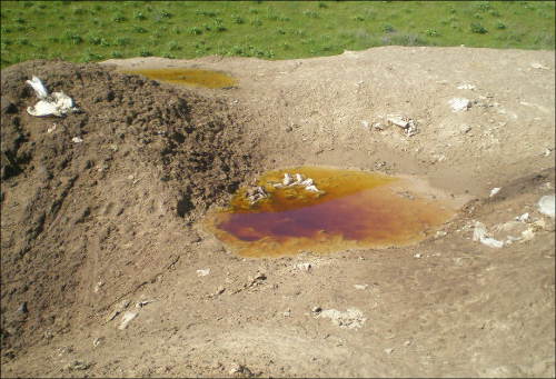 Вахшский могильник