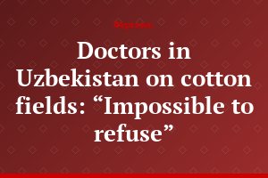 Doctors in Uzbekistan on cotton fields: “Impossible to refuse”