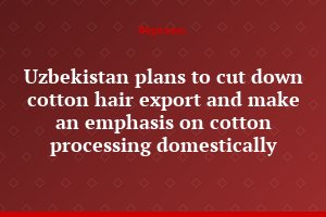 Uzbekistan plans to cut down cotton hair export and make an emphasis on cotton processing domestically