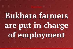 Bukhara farmers are put in charge of employment