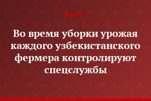 Во время уборки урожая каждого узбекистанского фермера контролируют спецслужбы
