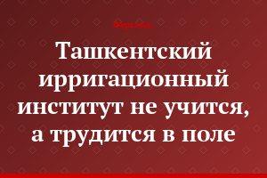 Ташкентский ирригационный институт не учится, а трудится в поле