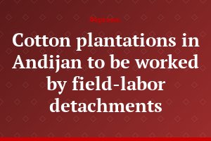 Cotton plantations in Andijan to be worked by field-labor detachments