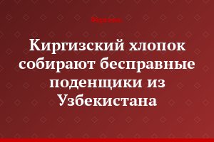 Киргизский хлопок собирают бесправные поденщики из Узбекистана