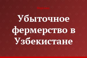 Убыточное фермерство в Узбекистане