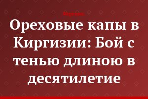 Ореховые капы в Киргизии: Бой с тенью длиною в десятилетие