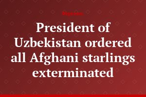 President of Uzbekistan ordered all Afghani starlings exterminated
