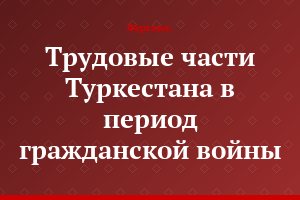 Трудовые части Туркестана в период гражданской войны