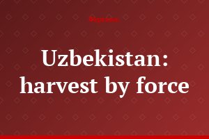 Uzbekistan: harvest by force