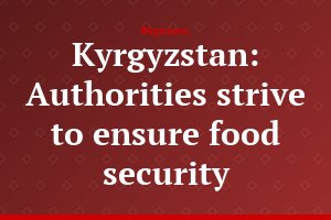 Kyrgyzstan: Authorities strive to ensure food security