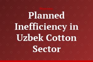 Planned Inefficiency in Uzbek Cotton Sector