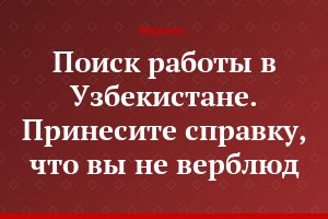 Поиск работы в Узбекистане. Принесите справку, что вы не верблюд