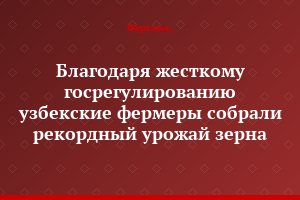 Благодаря жесткому госрегулированию узбекские фермеры собрали рекордный урожай зерна