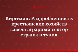 Киргизия: Раздробленность крестьянских хозяйств завела аграрный сектор страны в тупик