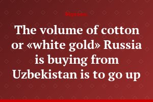 The volume of cotton or «white gold» Russia is buying from Uzbekistan is to go up