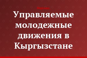 Управляемые молодежные движения в Кыргызстане