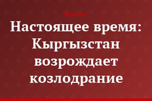 Настоящее время: Кыргызстан возрождает козлодрание