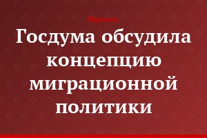Госдума обсудила концепцию миграционной политики