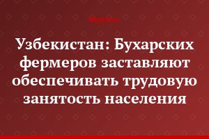 Узбекистан: Бухарских фермеров заставляют обеспечивать трудовую занятость населения
