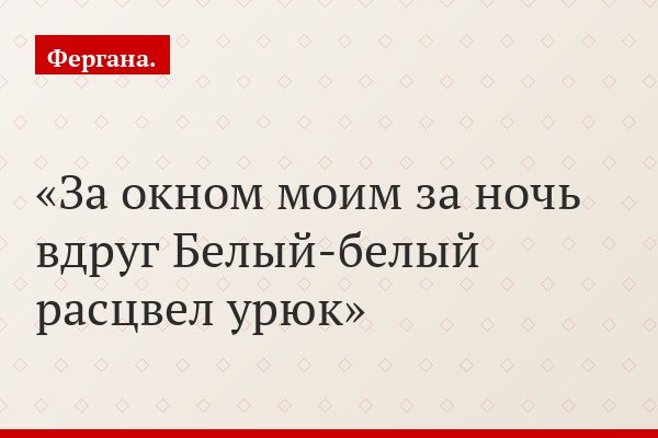 За окном моим за ночь вдруг Белый-белый расцвел урюк