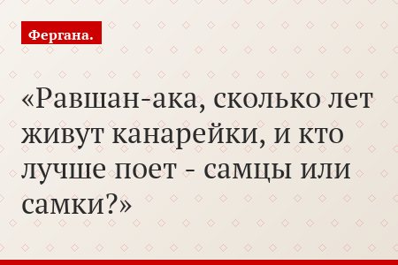 Равшан-ака, сколько лет живут канарейки, и кто лучше поет - самцы или самки?