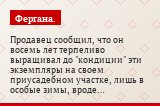 Продавец сообщил, что он восемь лет терпеливо выращивал до "кондиции" эти экземпляры на своем приусадебном участке, лишь в особые зимы, вроде…