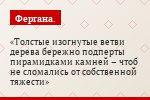 Толстые изогнутые ветви дерева бережно подперты пирамидками камней – чтоб не сломались от собственной тяжести