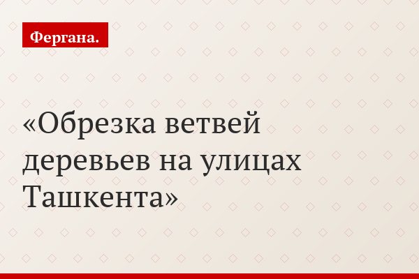 Обрезка ветвей деревьев на улицах Ташкента