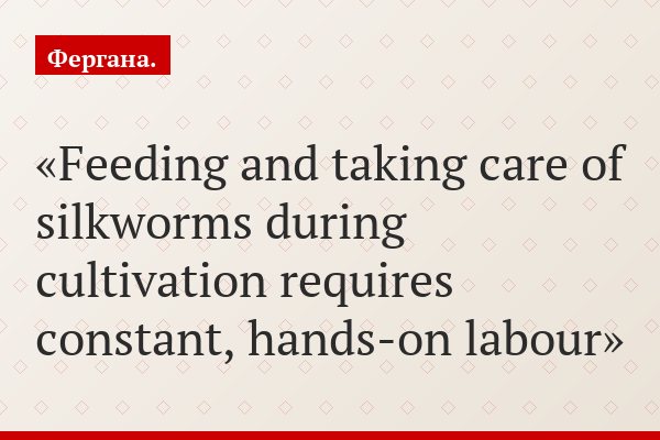 Feeding and taking care of silkworms during cultivation requires constant, hands-on labour
