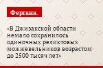 В Джизакской области немало сохранилось одиночных реликтовых можжевельников возрастом до 2500 тысяч лет