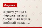 Просто улица в Фергане, летняя лиственная тень в знойный полдень