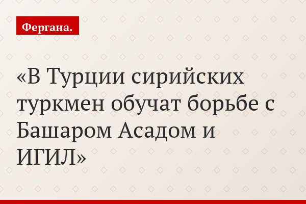 В Турции сирийских туркмен обучат борьбе с Башаром Асадом и ИГИЛ