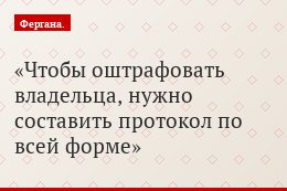 Чтобы оштрафовать владельца, нужно составить протокол по всей форме
