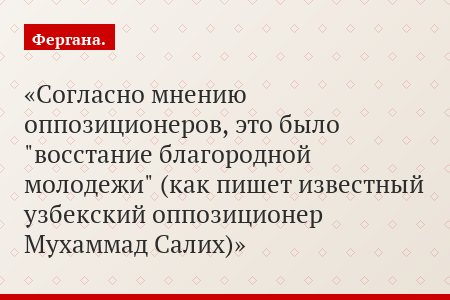 Согласно мнению оппозиционеров, это было "восстание благородной молодежи" (как пишет известный узбекский оппозиционер Мухаммад Салих)