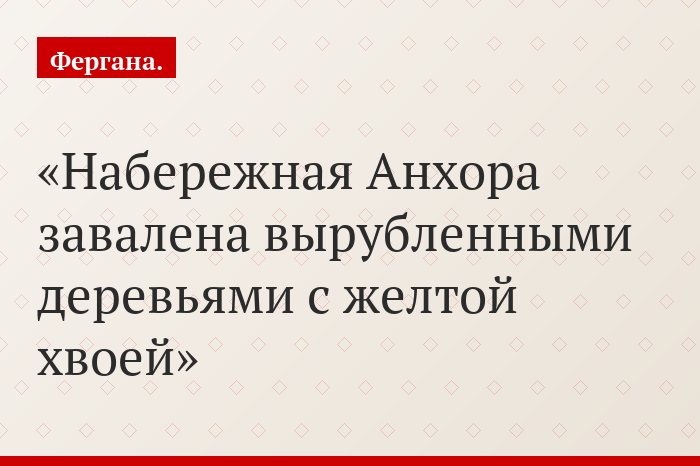 «Набережная Анхора завалена вырубленными деревьями с желтой хвоей»