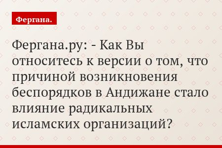 Фергана.ру: - Как Вы относитесь к версии о том, что причиной возникновения беспорядков в Андижане стало влияние радикальных исламских организаций?