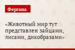 Животный мир тут представлен зайцами, лисами, дикобразами
