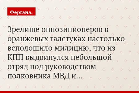 Зрелище оппозиционеров в оранжевых галстуках настолько всполошило милицию, что из КПП выдвинулся небольшой отряд под руководством полковника МВД и…