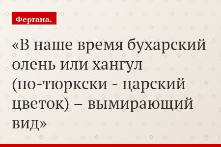 В наше время бухарский олень или хангул (по-тюркски - царский цветок) – вымирающий вид