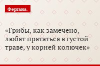 Грибы, как замечено, любят прятаться в густой траве, у корней колючек