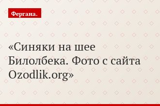 Синяки на шее Билолбека. Фото с сайта Ozodlik.org