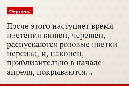 После этого наступает время цветения вишен, черешен, распускаются розовые цветки персика, и, наконец, приблизительно в начале апреля, покрываются…