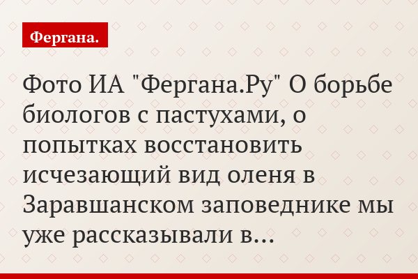 Фото ИА "Фергана.Ру" О борьбе биологов с пастухами, о попытках восстановить исчезающий вид оленя в Заравшанском заповеднике мы уже рассказывали в…