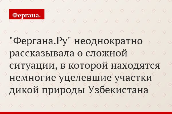 "Фергана.Ру" неоднократно рассказывала о сложной ситуации, в которой находятся немногие уцелевшие участки дикой природы Узбекистана