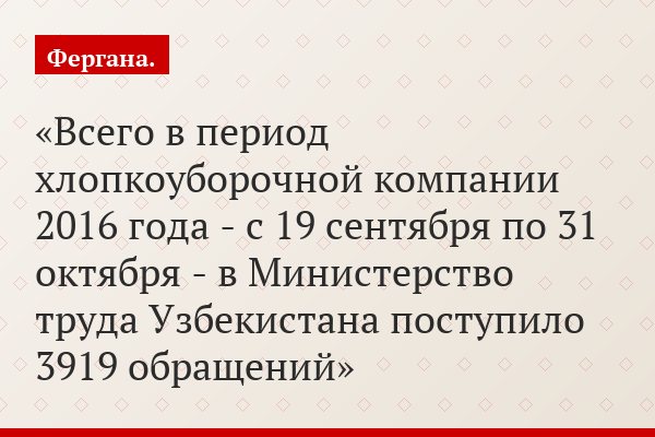 Всего в период хлопкоуборочной компании 2016 года - с 19 сентября по 31 октября - в Министерство труда Узбекистана поступило 3919 обращений