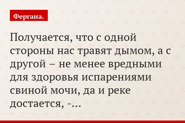 «Получается, что с одной стороны нас травят дымом, а с другой – не менее вредными для здоровья испарениями свиной мочи, да и реке достается, -…»