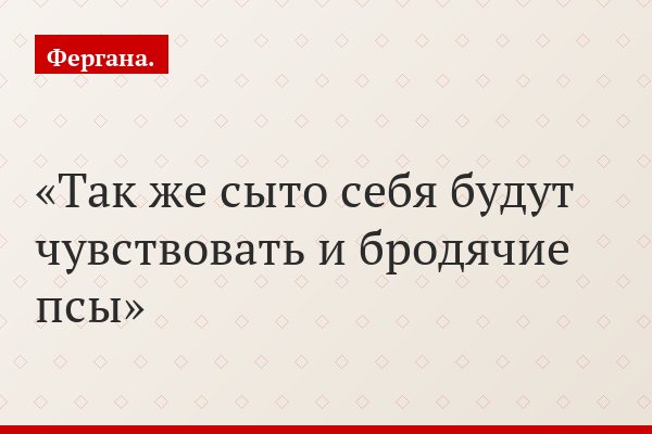 Так же сыто себя будут чувствовать и бродячие псы