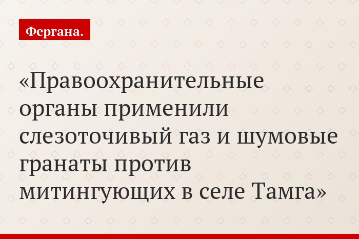 Правоохранительные органы применили слезоточивый газ и шумовые гранаты против митингующих в селе Тамга