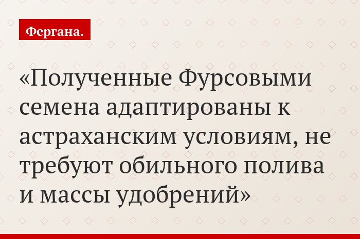 Полученные Фурсовыми семена адаптированы к астраханским условиям, не требуют обильного полива и массы удобрений