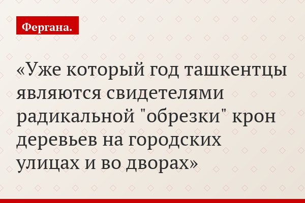 Уже который год ташкентцы являются свидетелями радикальной "обрезки" крон деревьев на городских улицах и во дворах